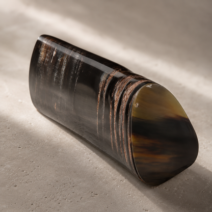 Exclusive Horn Case