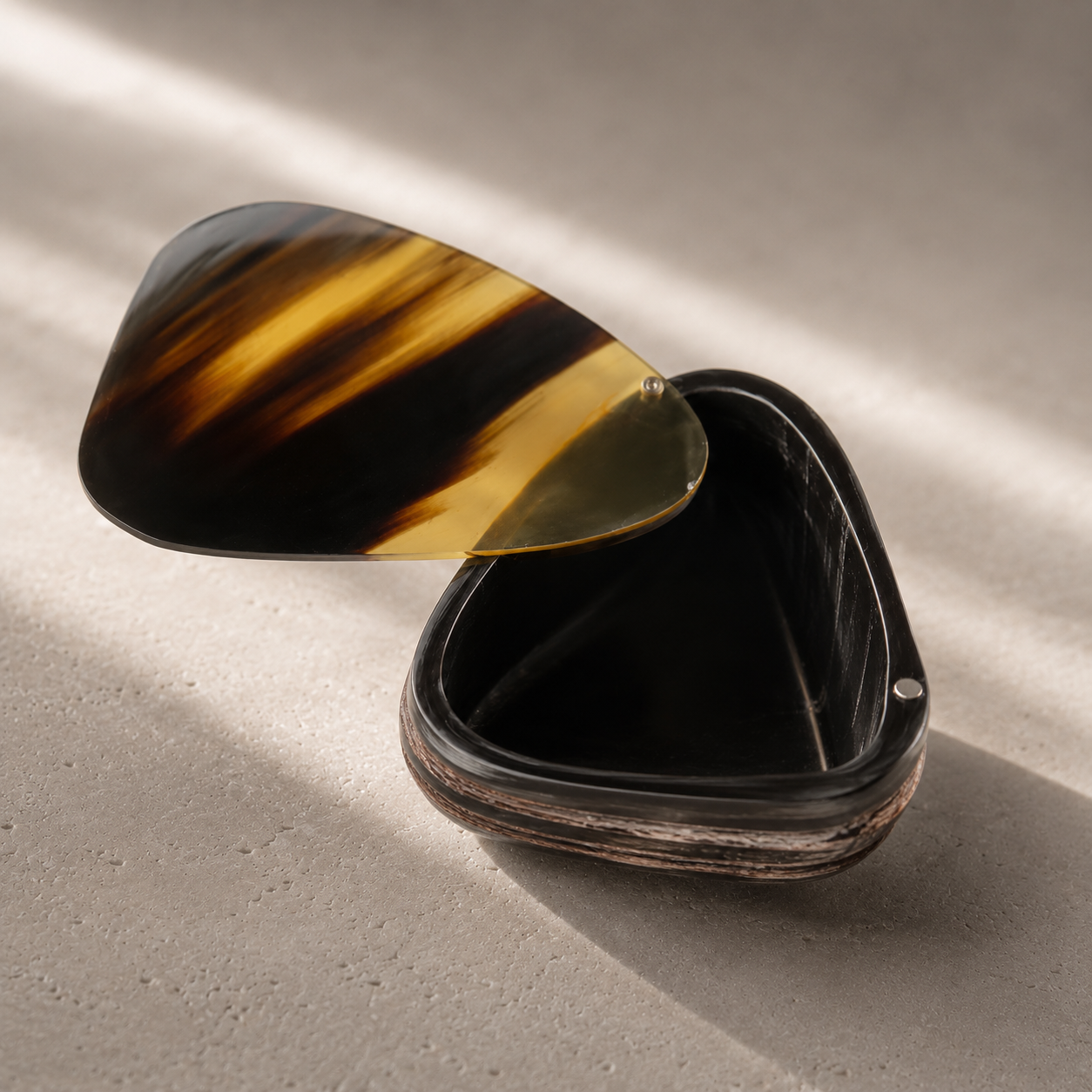Exclusive Horn Case